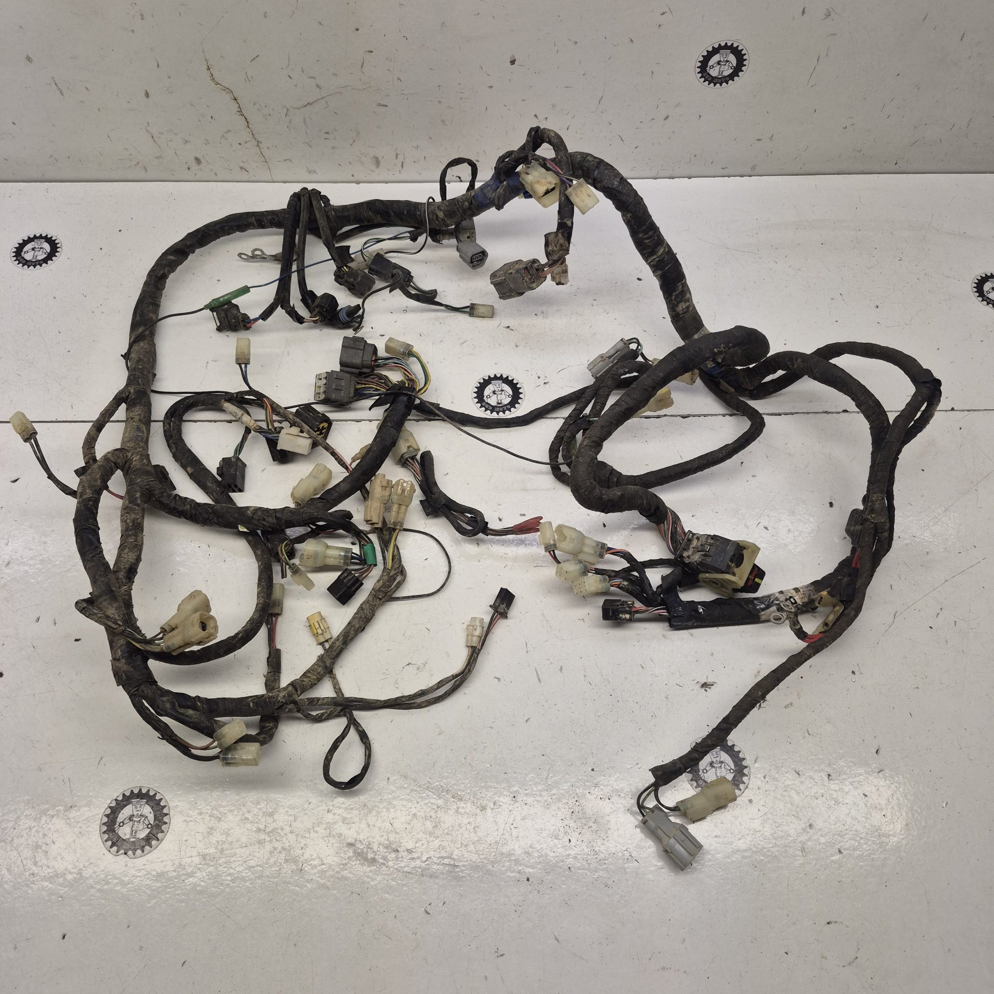 faisceau tgb 550 target efi 927831-1