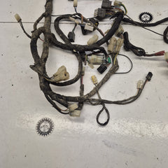 faisceau tgb 550 target efi 927831-2