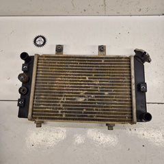 radiateur triton 450-1