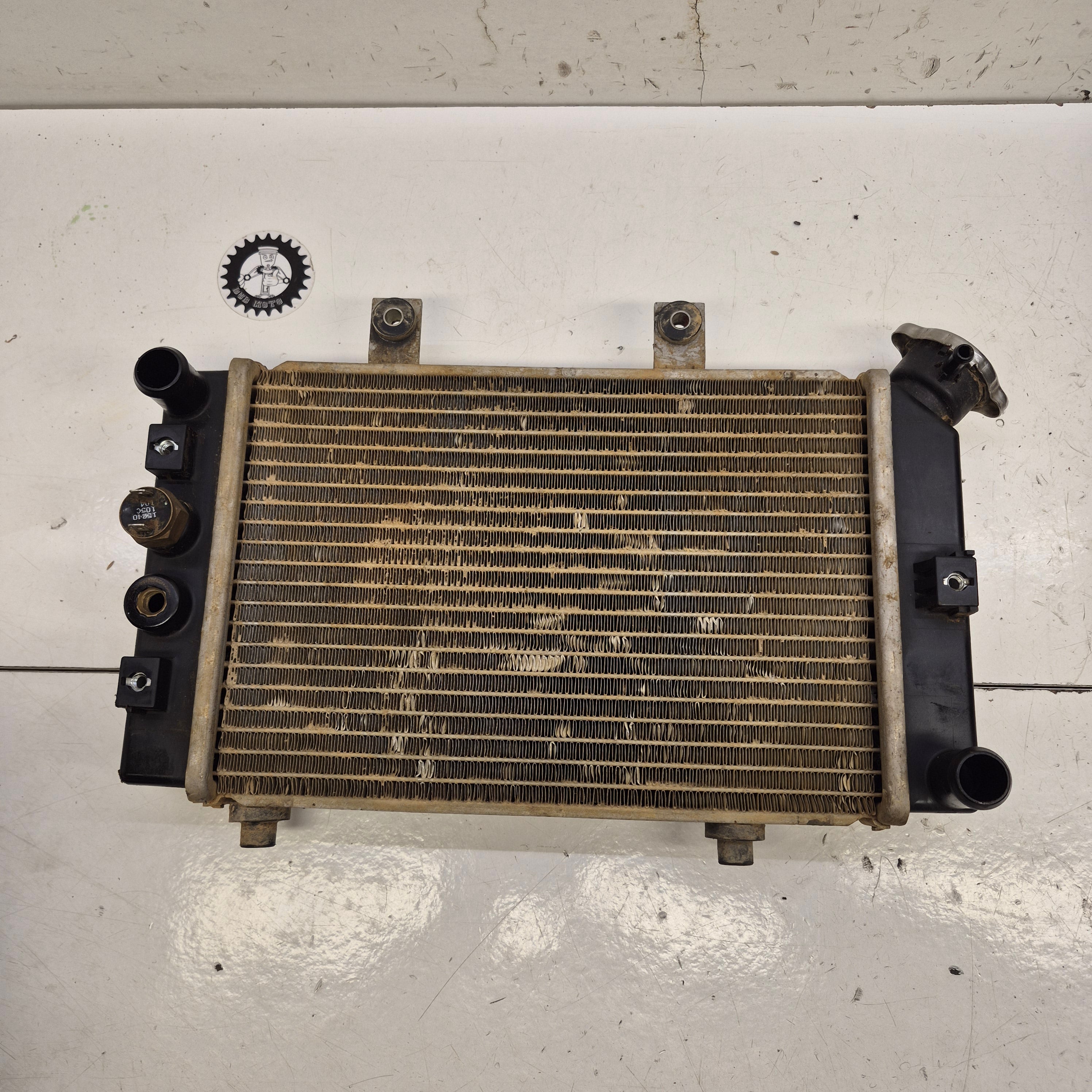 radiateur triton 450