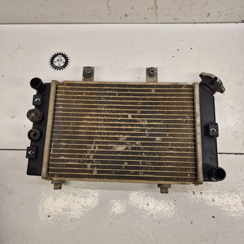 radiateur triton 450-1