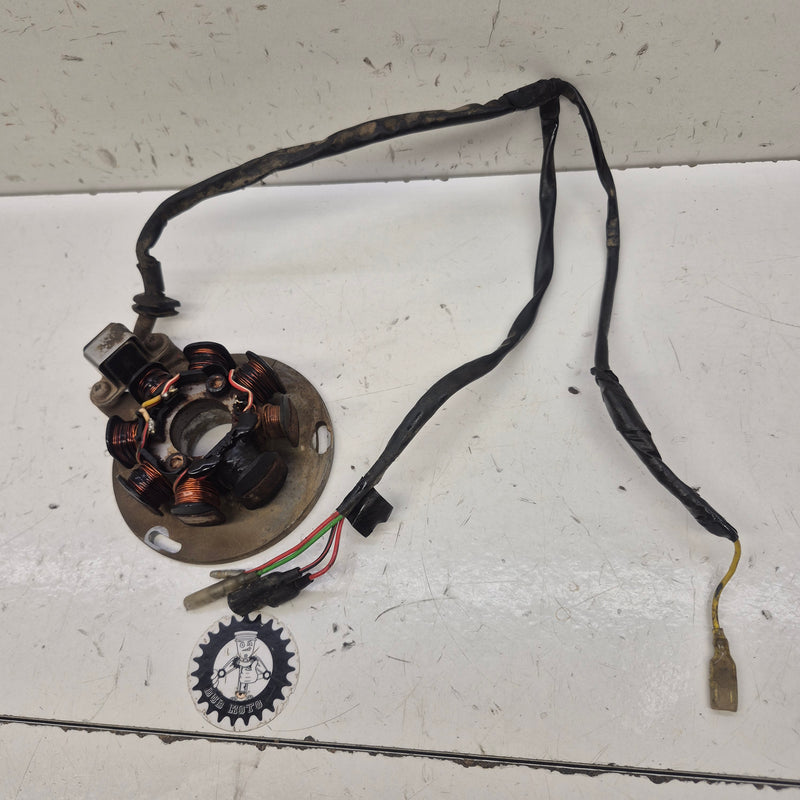 stator allumage gasgas 300 ec 2005-1