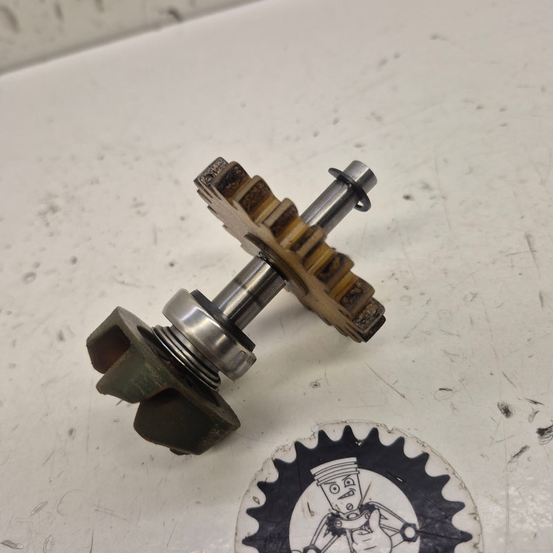 pompe a eau gasgas 300 ec 2005-1