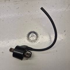 bobine allumage gasgas 125 ec 2004-1