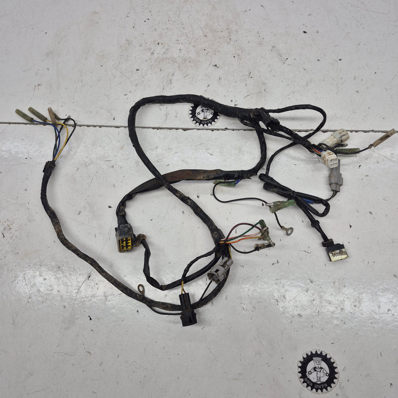 faisceau yamaha 200 blaster-1