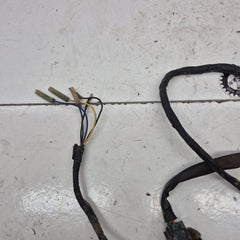 faisceau yamaha 200 blaster-2