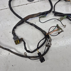 faisceau yamaha 200 blaster-3
