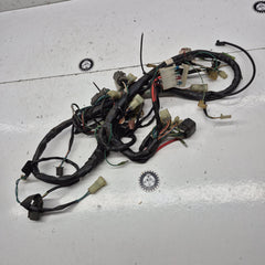 faisceau electrique triton 450-1