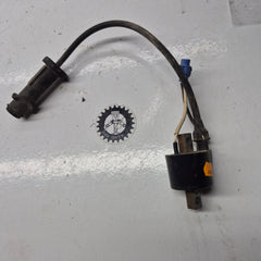 bobine artic cat 650 irs 2009-1