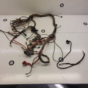 faisceau electrique masai a450