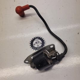 bobine gasgas 250 jtr 1999