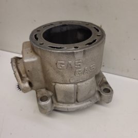 cylindre a refaire gasgas 250 jtr 1999