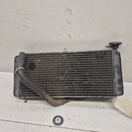 radiateur gasgas 450 wild